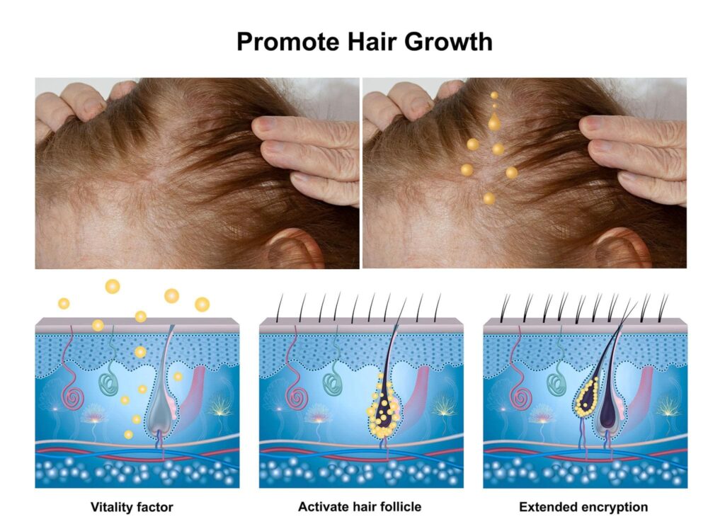 Moringa Leaves Good for Hair Growth